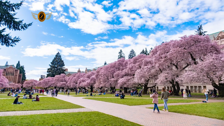University of Washington – A Complete Overview